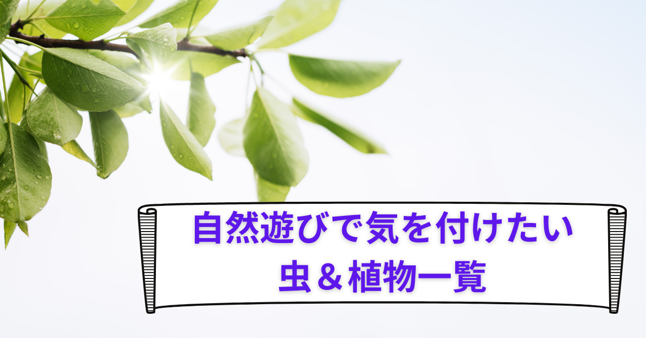 自然遊びで注意が必要な虫や植物を紹介する記事の写真